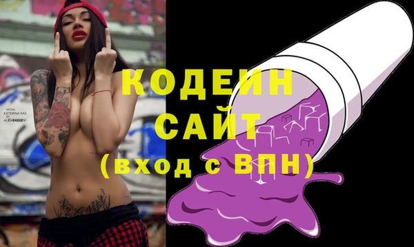 индика Арсеньев
