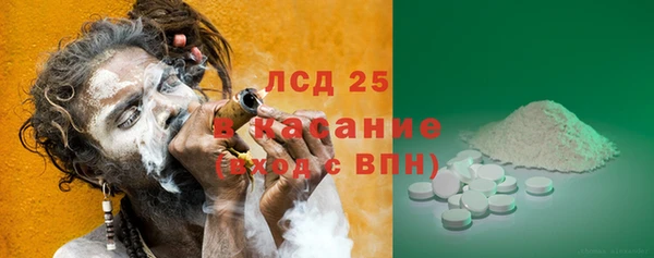 индика Арсеньев