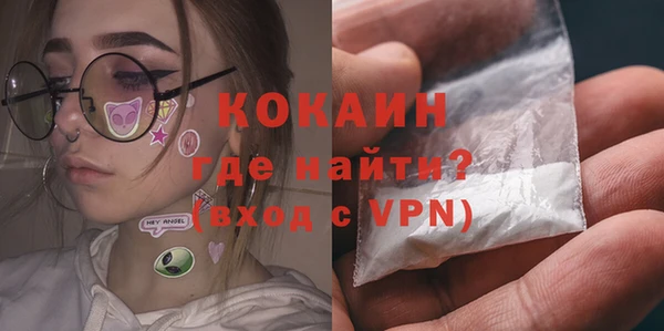 индика Арсеньев