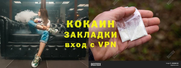 прущие грибы Аркадак