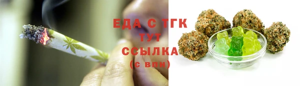 индика Арсеньев