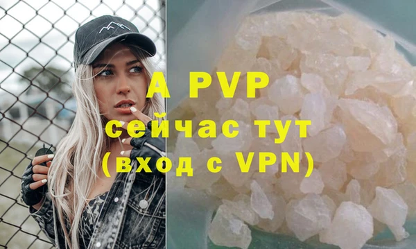 индика Арсеньев