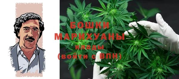 прущие грибы Аркадак