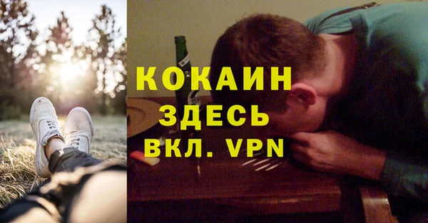 прущие грибы Аркадак