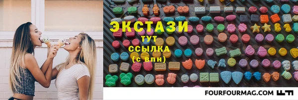 индика Арсеньев