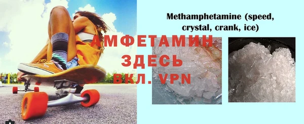 прущие грибы Аркадак